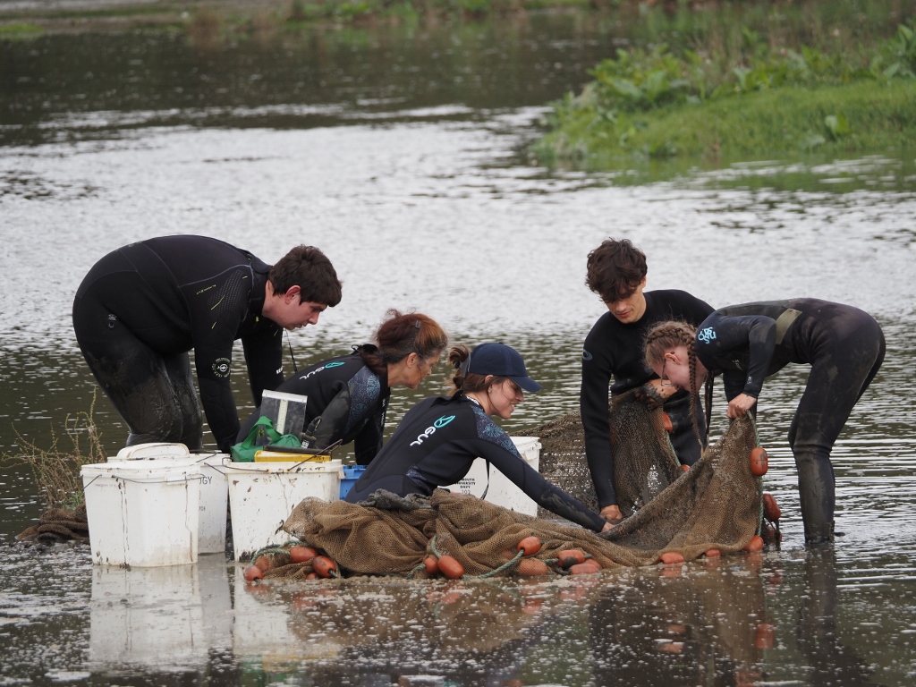 2023 09 12 calstock wetlands reporting 01