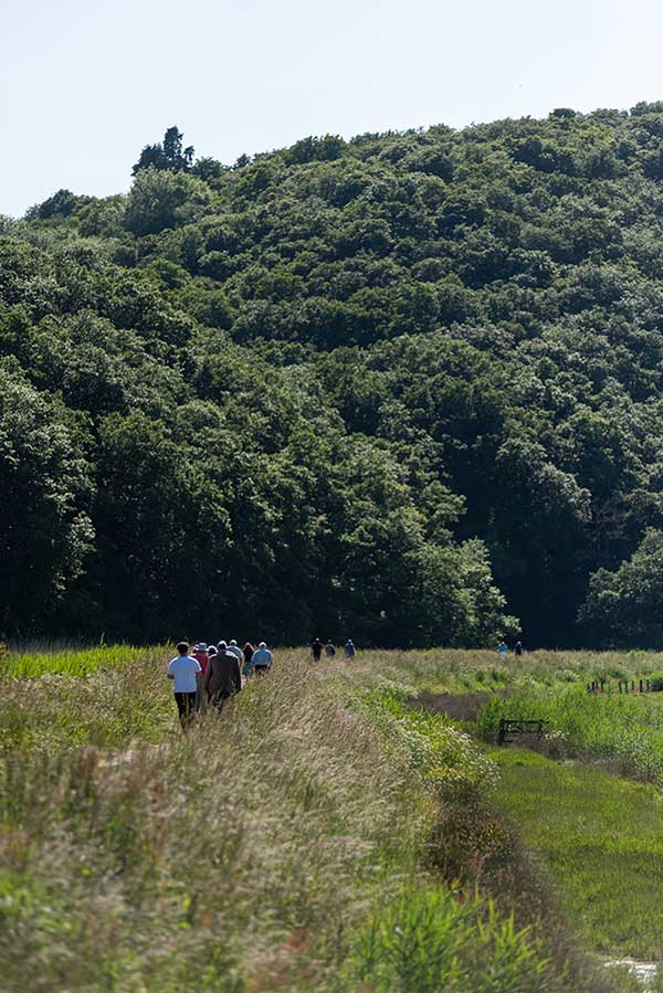 tvnl people walking wetland 01 (1)