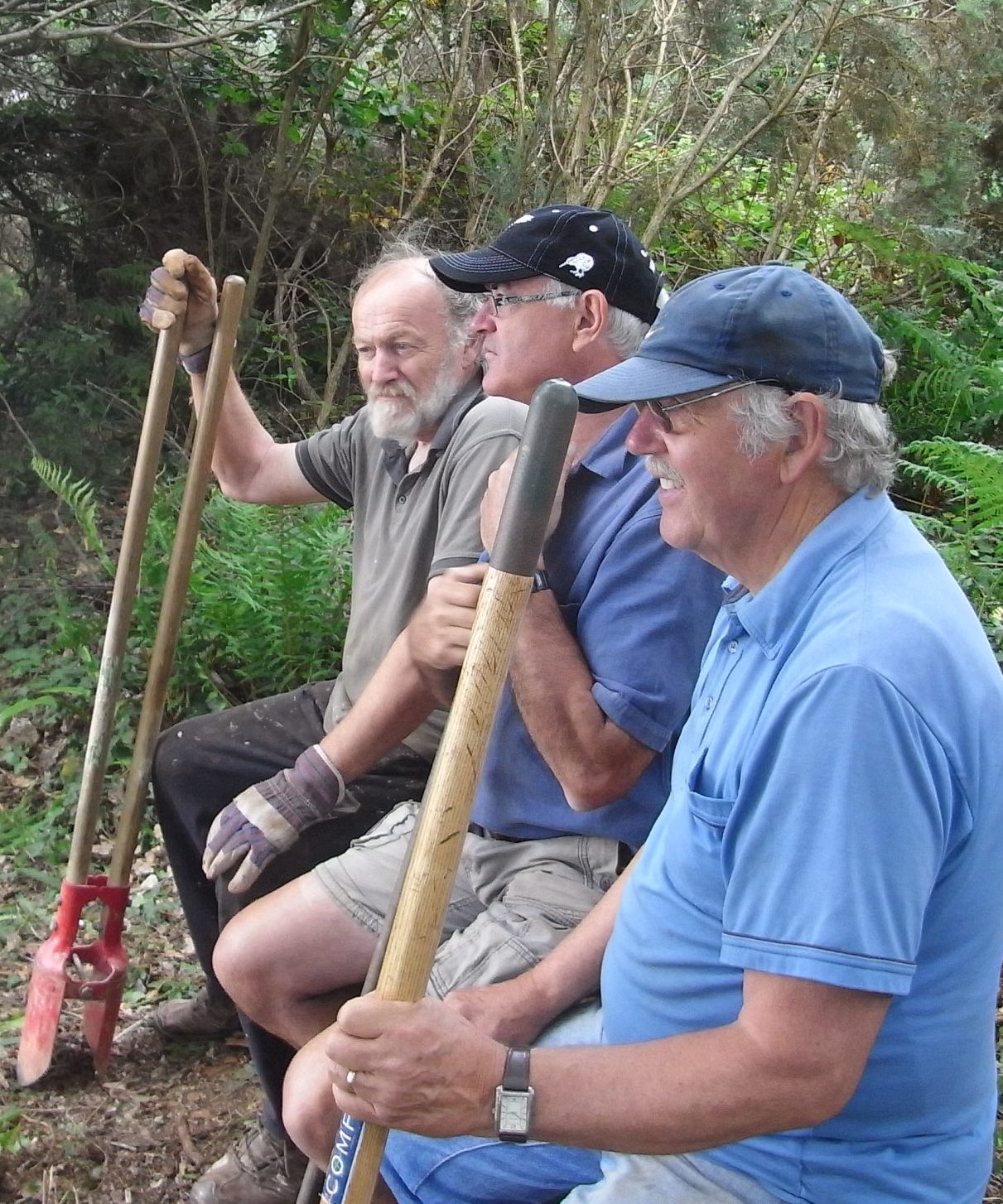 tvnl wacker quay tct volunteers 2011 01 scaled e1702662466748