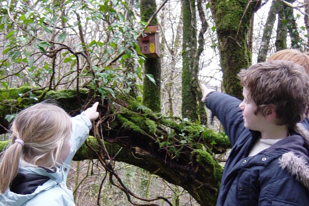 2000 00 00 dormouse exploration crop e1702134297433