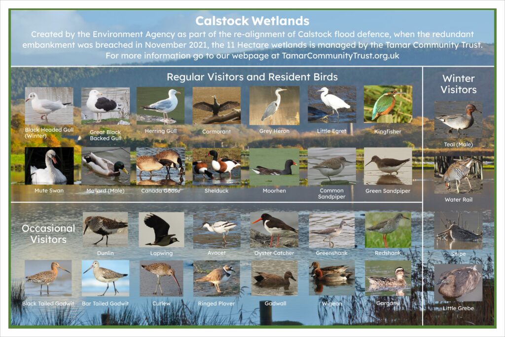 wetlands sign
