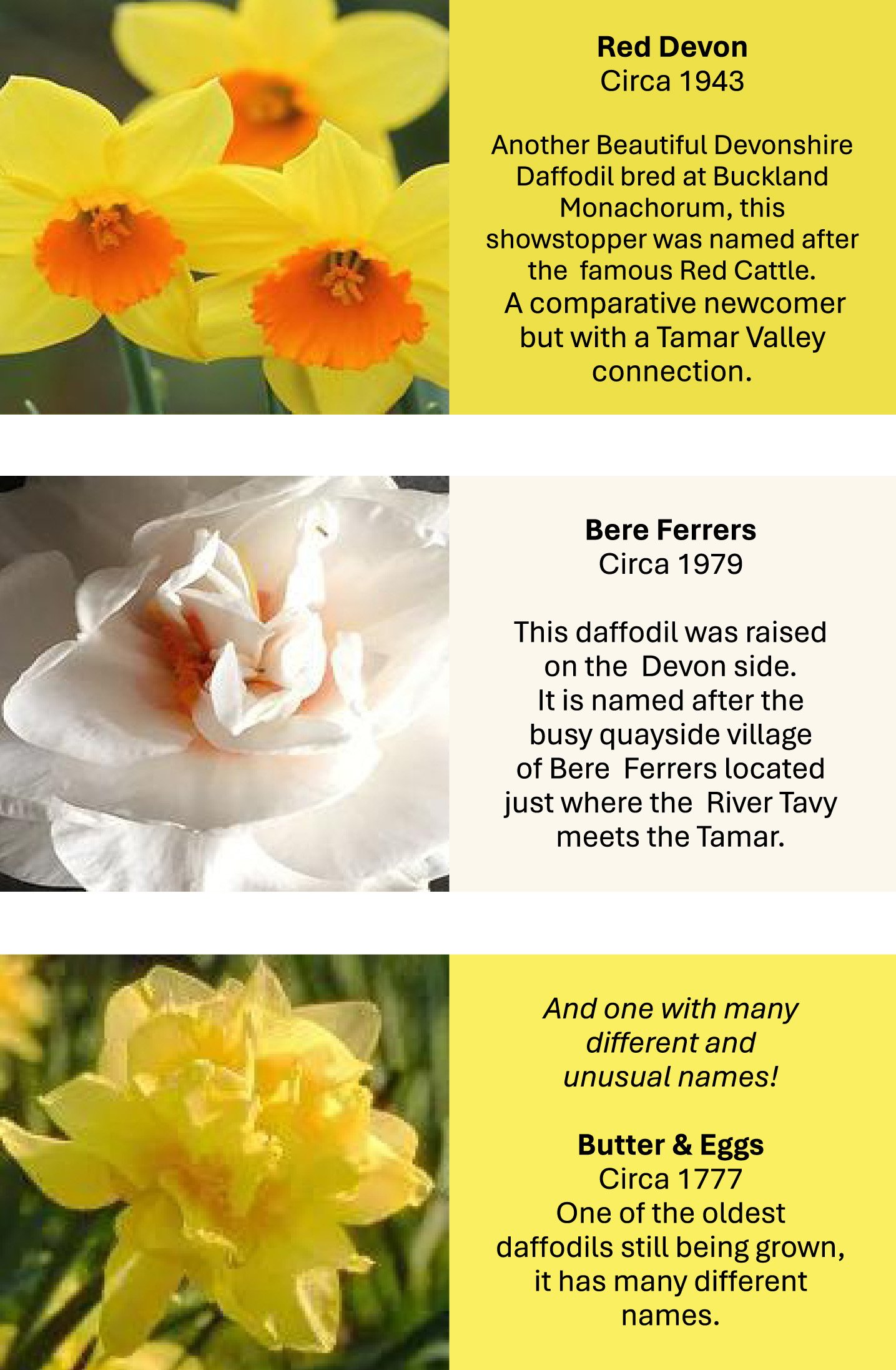 a5 booklet 023