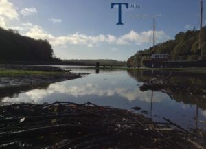 Tamar Journals vol 35 2013