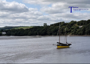 Tamar Journals vol 43 2021