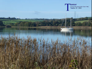 Tamar Journals vol 45 2023